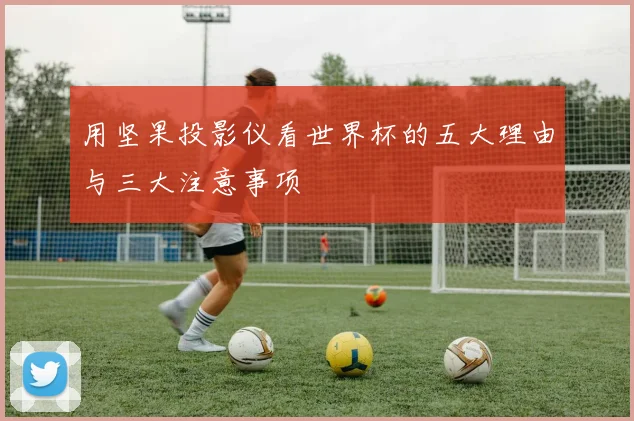 用坚果投影仪看世界杯的五大理由与三大注意事项